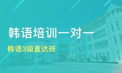 学韩语哪个学校比较好,全日制韩语学习机构哪个好