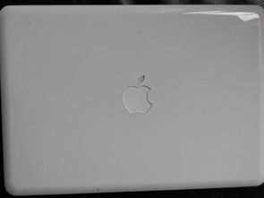 谁知道这款苹果笔记本电脑是什么型号的 