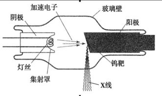 为什么电子是从负极流向正极，而电流时从正极流向负极？？？