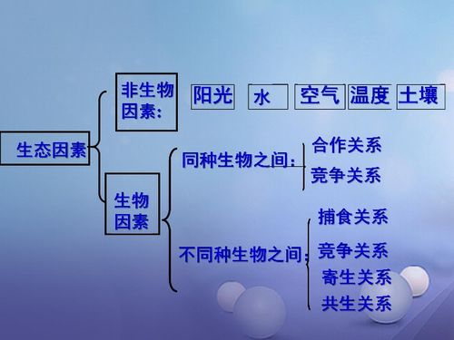 生物与环境之间的关系是相互,生物与环境的关系是（　　）A．相互影响，毫无作用B．相互影响，毫无影响C．毫无关系D．相互影响，相互作-第4张图片