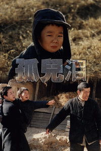 孤儿泪电影国语完整版,电影的评价