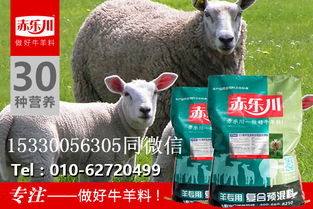 繁育母羊养殖要点,种羊复合预混合饲料，如何提高母羊繁殖率
