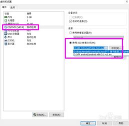 linux装win10需要设置