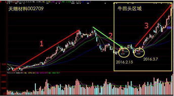 股票你每涨1块钱，是不是就是涨1倍，2块，是2倍。。以此类推？？