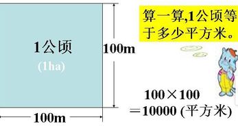 一公顷等于多少平方千米,一公顷等于多少平方千米?-第1张图片