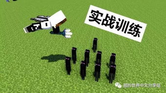 minecraft三叉戟(Minecraft三叉戟和剑)