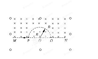 14 如图所示,直线MN下方无磁场,上方空间存在两个匀强磁场,其分界线是半径为R的半圆,两侧的磁场方向相反且垂直于纸面,磁感应强度大小都为B 现有一质量为m 电荷量为 