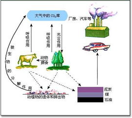 图片素材 