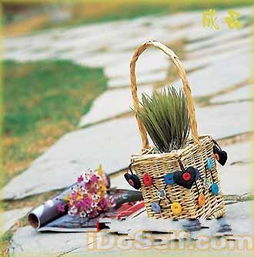 竹编花篮怎么种花,家里的菜篮子别扔，拿来养花，大有用处！