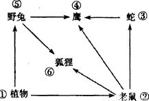 昆虫的翅与鸟类的翼的结构是不同的.但就适于飞行来看.共同点是 ①翅与翼的外形呈扇形 ②都具有轻.薄.表面积大的特征 ③翅和翼的运动靠肌肉的收缩引起 ④翅与翼上都有羽毛覆盖 