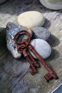 钥匙扣,金属,生锈,铁,石头,花园装饰,怀旧之情,木 