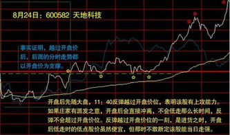 我的股票停盘了，那开盘以后是不是有几个涨停？有几个一般？