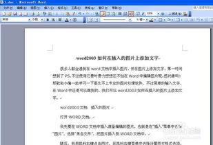 怎样在word2003文档中插入的图片上添加文字