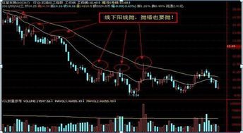 股票不如说买了1000元的跌了最多就是这一千元没了吧～和自身财产没什么关系吧？为什么赔的有人卖车卖