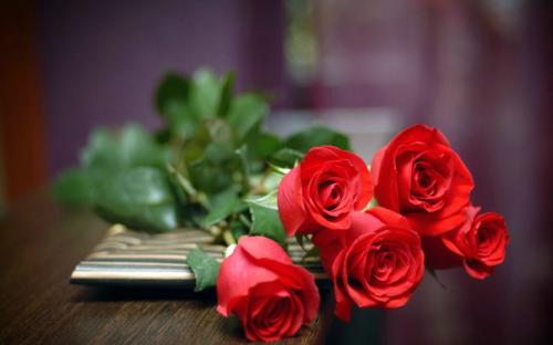地狱玫瑰花语,地狱玫瑰，死亡之美的诠释，它的花语是禁忌的深情挚爱