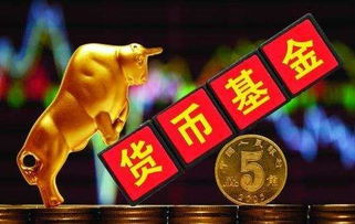 货币基金是怎么分红货币基金一般以什么方式分红