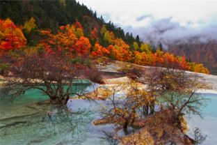 四川松潘黄龙风景区门票 山水相连的美