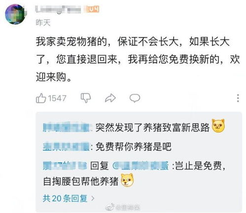 哔哩哔哩专栏 