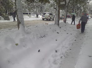 石家庄大雪