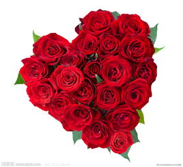 女朋友生日送什么颜色玫瑰花,为女朋友送上一束浪漫的玫瑰花，让她感受到你的爱意
