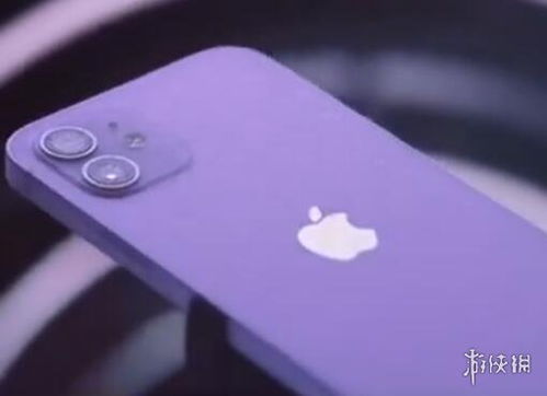 苹果12紫色多少钱 iPhone12紫色价格