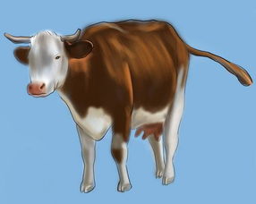 属牛的在2023年的运气,2023年属牛运势展望