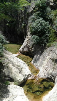 追梦谷,求：驻马店自驾到洛阳栾川（ 老君山追梦谷）路线和具体上山路线-第4张图片