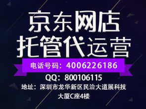 seo网站推广代运营