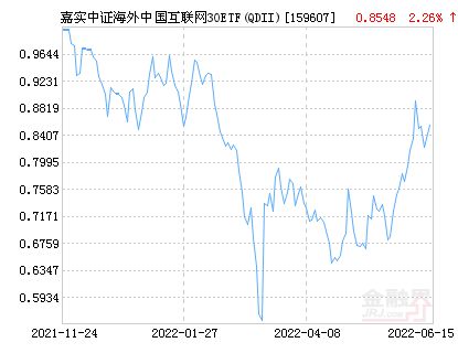 嘉实海外中国