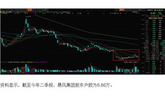 暴风科技股票怎么成40多元了