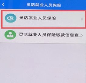 呼市灵活就业养老保险网上缴,网上申请灵活就业社保的流程