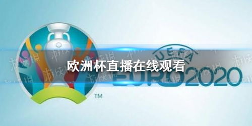 欧洲杯直播预告在哪看, 欧洲杯直播预告：在哪观看足球盛宴？