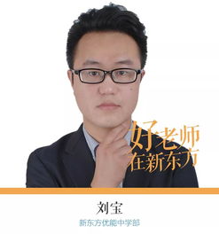 新东方老师好 刘宝 发现孩子的闪光点,做一名点火者 