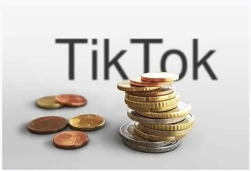 tiktok上的fyp是什么意思TikTok标签分类_马来西亚tiktok本土店授权码