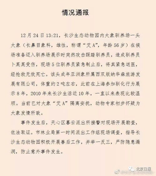 官方通报来了 长沙大象踩死驯养员,网友不想再看动物表演了