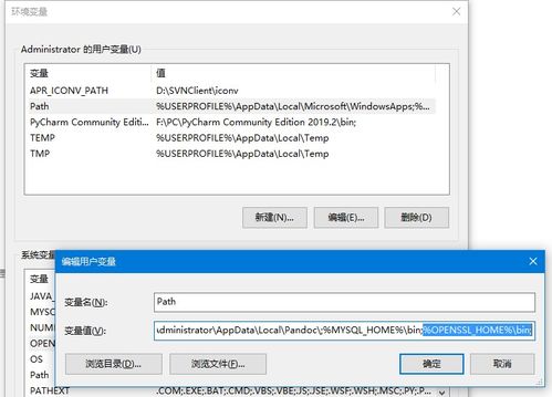 win10绑定和ssl设置