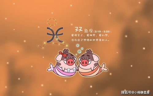 十二星座喜欢一个人,最看重什么 你都知道吗