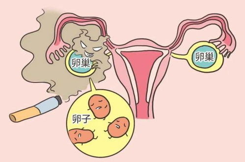 宫茹清科普 女人月经量过少就代表着卵巢功能不太好吗