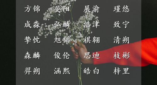 精致又大气的男宝宝名字,胸怀天下,浩气存心