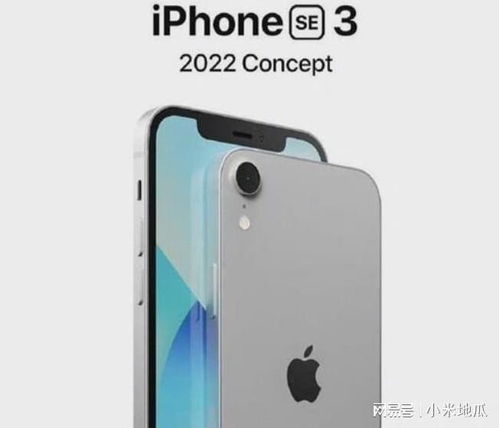 iPhone SE3强势归来,刘海全面屏加持,网友 iPhone8回来了