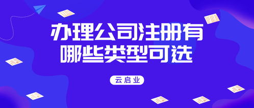 有限责任公司股东人数有多少