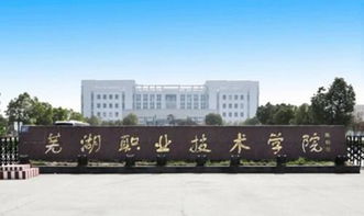 芜湖职业技术学院自主招生有哪些专业 