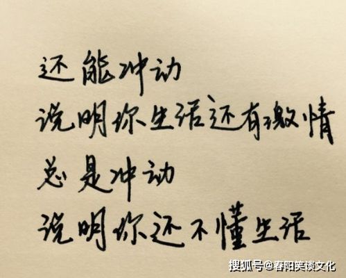 迟押韵短句励志,十首励志不负韶华的话？