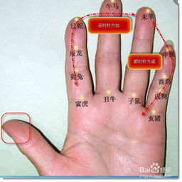 如何通过手指快速计算年龄和属相