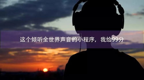 晓是什么意思?