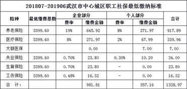 武汉社保缴纳和退休政策(武汉职工养老保险交多少年)