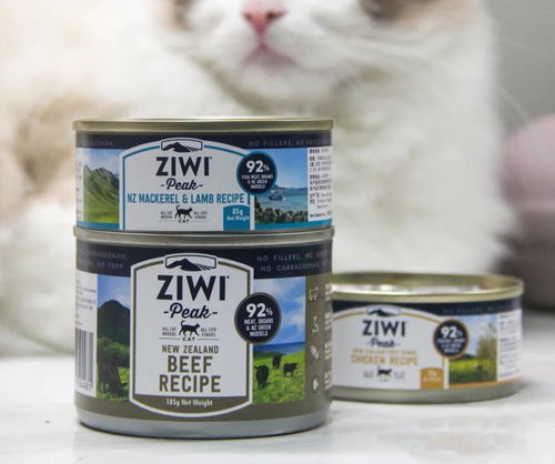猫咪吃什么牌子的罐头营养全些 高营养的猫罐头排行