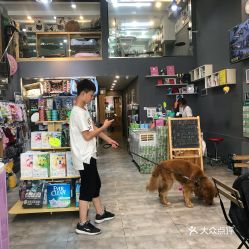 电话 地址 价格 营业时间 经济开发区宠物店团购 天津宠物 