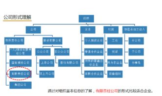 关于有限责任公司的股权划分