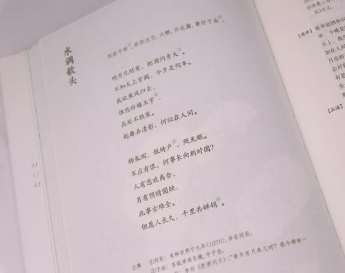 中国诗词大会 第五季全新开播 为什么要读古诗词 这是我见过最好的答案